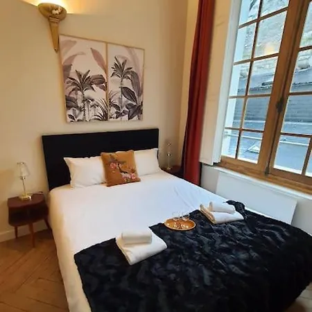 T2 Calme Vieux Basilique * Tours